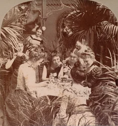 En formue i en tekop, 1901