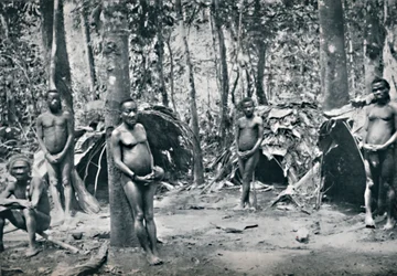 En pygmælandsby, North-East Congo Basin, 1912