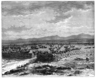 En sydafrikansk kvægkraal, c1890