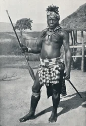 En zuluhøvding, 1902