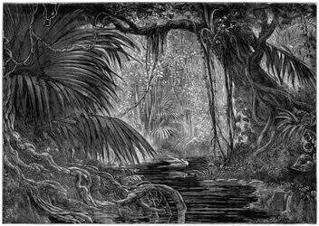 En skovscene i Peru, 1877