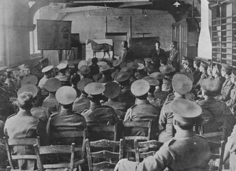 Et foredrag om hestens anatomi, 1915