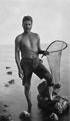 En indfødt rejefisker, Hawaii, med sit net, 1902