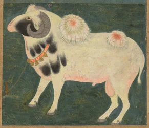En kongelig vædder med guldkæde, ca. 1585, grænse tilføjet formentlig 1700-tallet.
