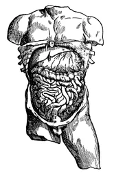 Bughulen og dens indhold, 1543
