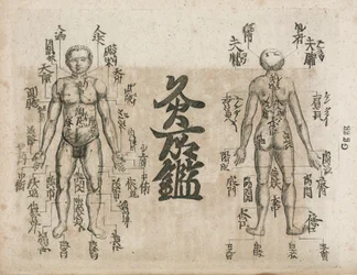 Akupunkturkort over menneskekroppen, der viser moxibustionspunkter (Moxabustion-diagram, der viser, hvor aber bør undgås
