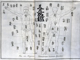 Akupunktur: kort over menneskekroppen med angivelse af moxibustionspunkter, Japan (kort vedrørende moxa, ca. 1690)
