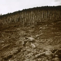 Alsace, c1914-c1918
