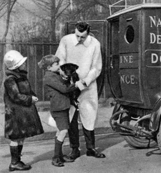 Ambulance fra National Canine Defense League, London, 1926-1927