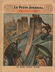 En undsluppen chimpanse, 1930.