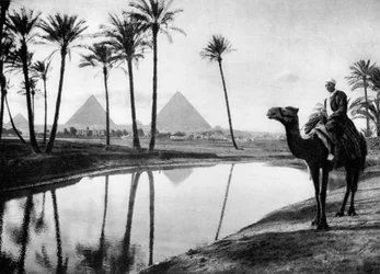 En oase nær Cairo, Egypten, c1920