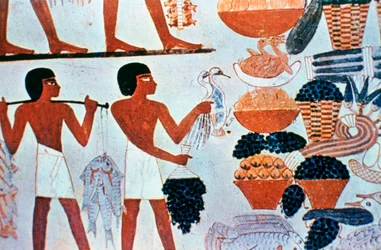 Gamle egyptiske vægmalerier i en grav i Theben, Egypten