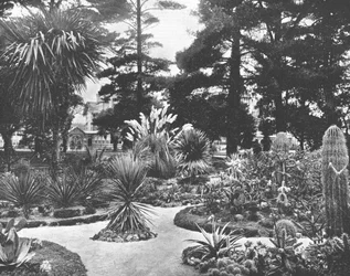 Arizona Garden, Monterey, Californien, USA, c1900.