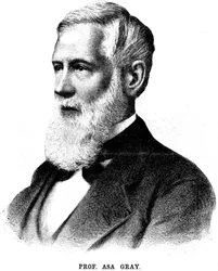 Asa Gray, amerikansk botaniker, 1888