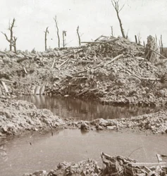 Yser-flodens bredder, Diksmuide, Belgien, c1914-c1918