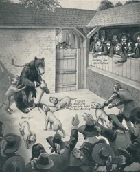 Bear-baiting in a Stuart Bear Pit, c1934