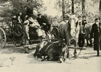 Belgiske flygtninge på vej, 1939-1940, 1941.
