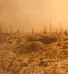 Bois du Chapitre, Vaux, Nordfrankrig, c1914-c1918