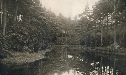 Branksome Chine and Lake, c1910