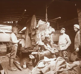 Slagtere på en pram, Somme, Nordfrankrig, c1914-c1918