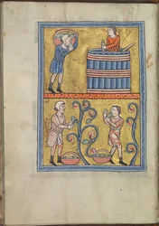 Kalender, september, mænd, der plukker og træder druer - Psalter af Eleanor fra Aquitaine (ca. 1185) - KB 76 F 13, folium 009v