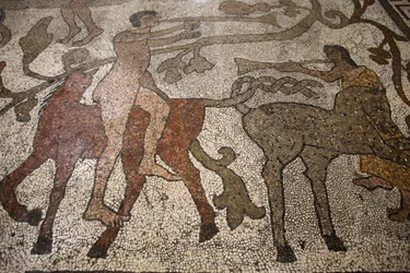 Centralskibsmosaik på gulvet i Duomo of Otranto: ryttere, Otranto, Italien