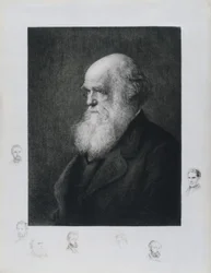 Charles Darwin, engelsk naturforsker, ca. 1860