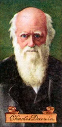 Charles Darwin, taget fra en række cigaretkort, 1935