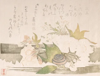Kirsebærblomster og en snegl, 1816.