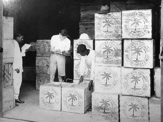 Kokosproduktion, Indien, 20. århundrede