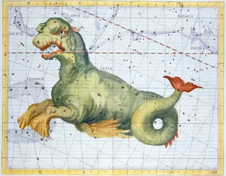 Stjernebilledet af hvalen Cetus, 1729