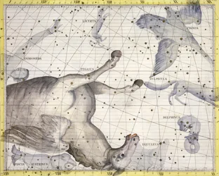Konstellationen Pegasus, 1729