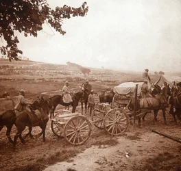 Konvoj, Genicourt, Nordfrankrig, 1916