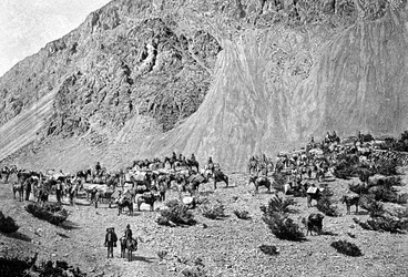 Konvoj af multere ved foden af Cordillera, Sydamerika, 1895