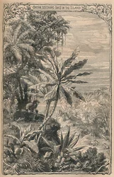 Crusoe opdager geder på øen, c1870