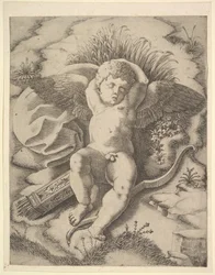 Amor sover, 1500-tallet.