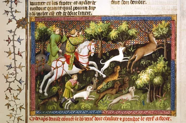 Hjortejagt, 1400-tallet