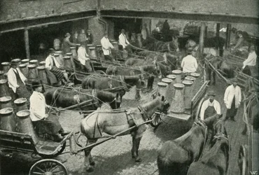 Leveringsvogne på vej fra herrerne Freeth og Pococks centrallager i Vauxhall, 1902