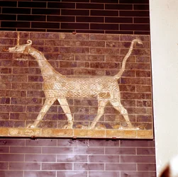 Drage hellig for guden Marduk, detalje af Ishtar-porten, c604-c562 f.Kr.