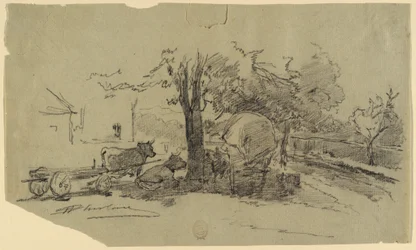 Tegning (USA)