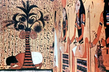 Drikker fra floden, tempelvægmaleri, Theben, Egypten