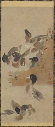 Ænder, Edo-periode, 1700-tallet.