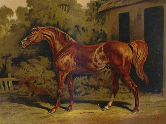 Eclipse, c1879.
