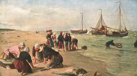 Fisk fra Doggerbanken, Scheveningen, Holland, 1870, c1902.