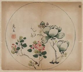 Blomstrende Magnolia og ferskenblomster, 1368-1644.