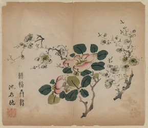 Blomstrende Prunus, 1368-1644.
