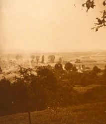Skov i Argonne, Nordfrankrig, c1914-c1918