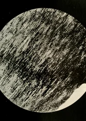 Fossilt træ i sandsten, fra en moræne i breddegrad 85° syd, c1908, 1909.