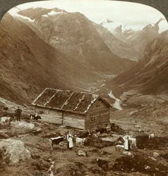 Fra bjergkroen ved Vidde saeter ned ad Viddedalen - Skaala i ret afstand, c1905.