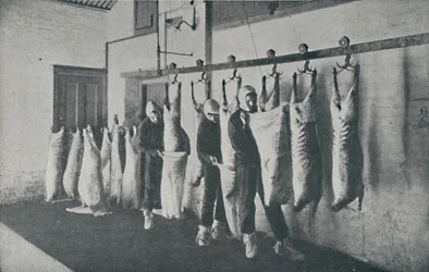 Frosset kød, 1910